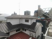 leopalace Solitia Ome 视野