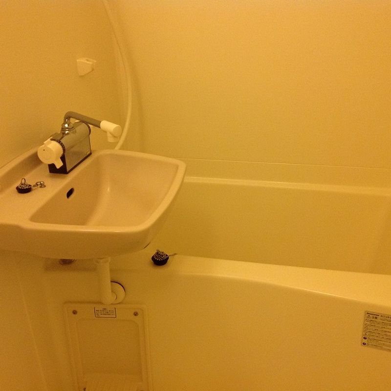 レオパレスル　トレフル 洗面所