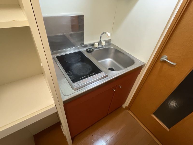 leopalace Final Iris Other