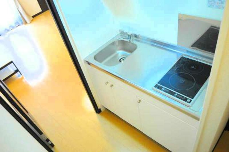 レオネクストガイア守山Ⅱ キッチン