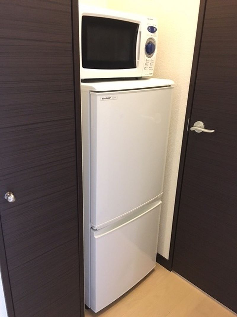 レオネクストピスティス その他