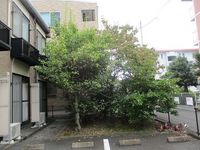 レオパレスシャ　ティグレ 駐車場