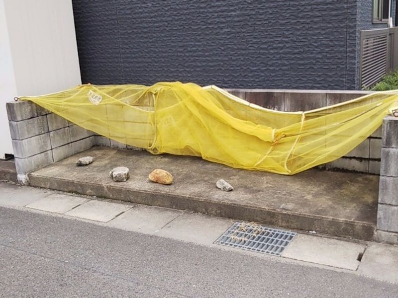 レオネクスト来夢２１ 共用部分