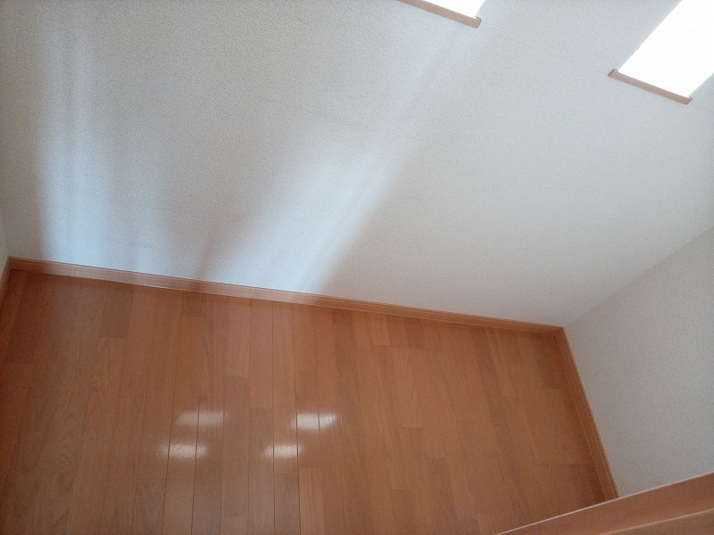 LEONEXT Joey Storage