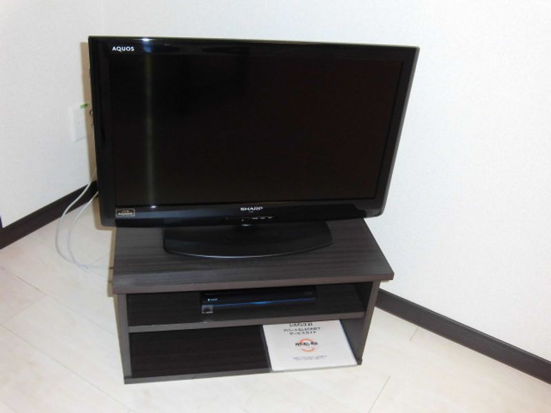 レオネクストやまとⅡ その他