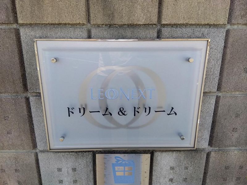レオネクストドリーム＆ドリーム その他