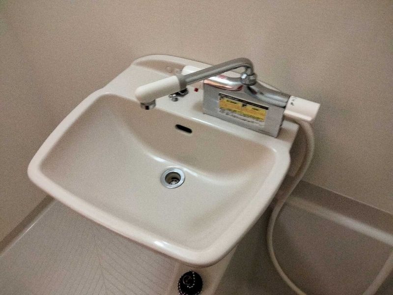 leopalace K Woods II Sink