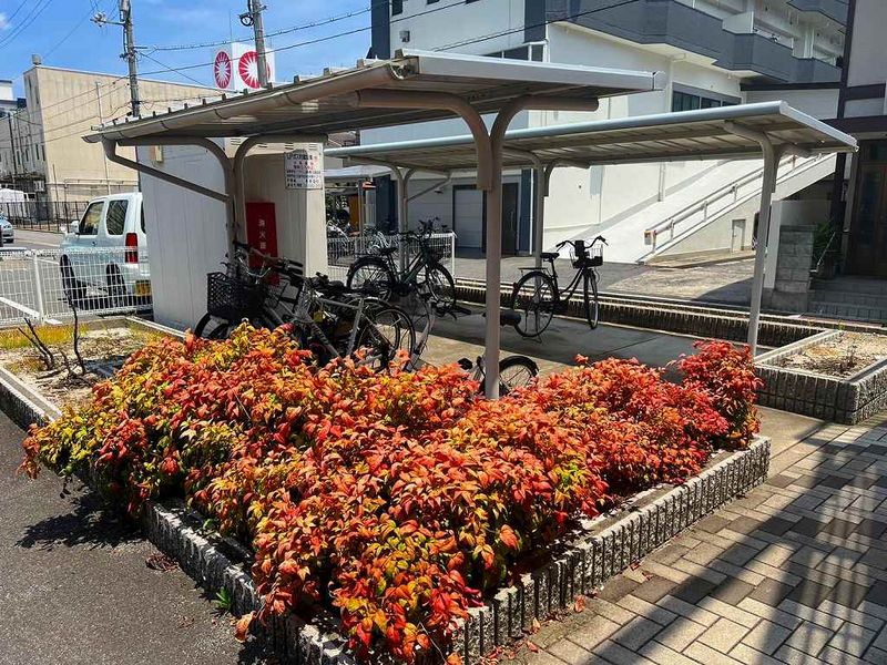 レオパレスＣｈａｍｂｒｅ　Ｓ 居間