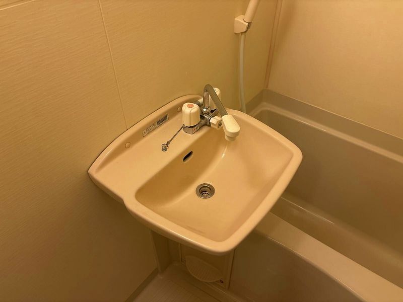 レオネクストヴューテラス 洗面台