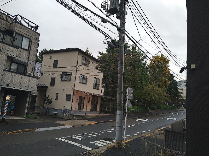 レオネクストラムールウールー 眺望