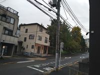 レオネクストラムールウールー 眺望
