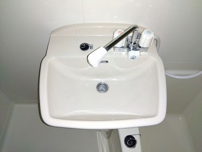 レオネクストビッグ 洗面所