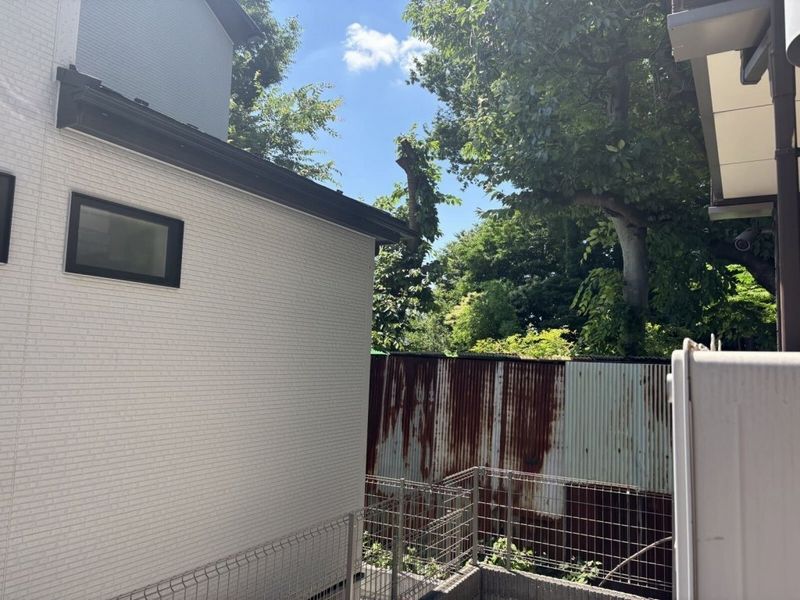 MIRANDA J Viretta II Tầm nhìn