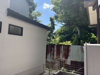 MIRANDA J Viretta II Tầm nhìn