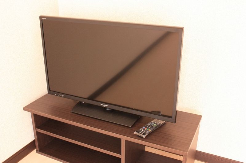 レオネクストグランデーム越谷 その他