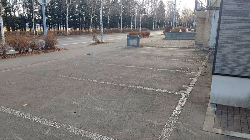 レオパレストゥーリヴァー 駐車場