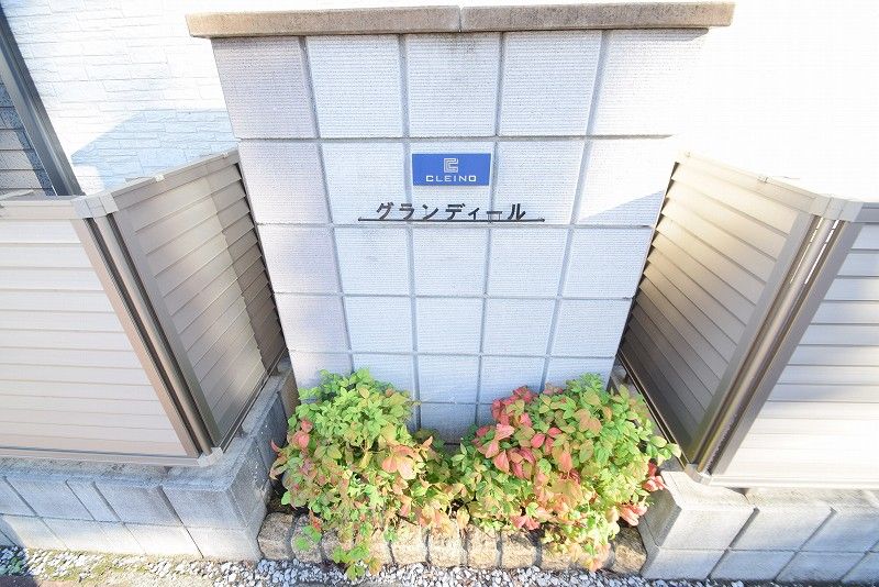 CLEINO Grandir Shared spaces