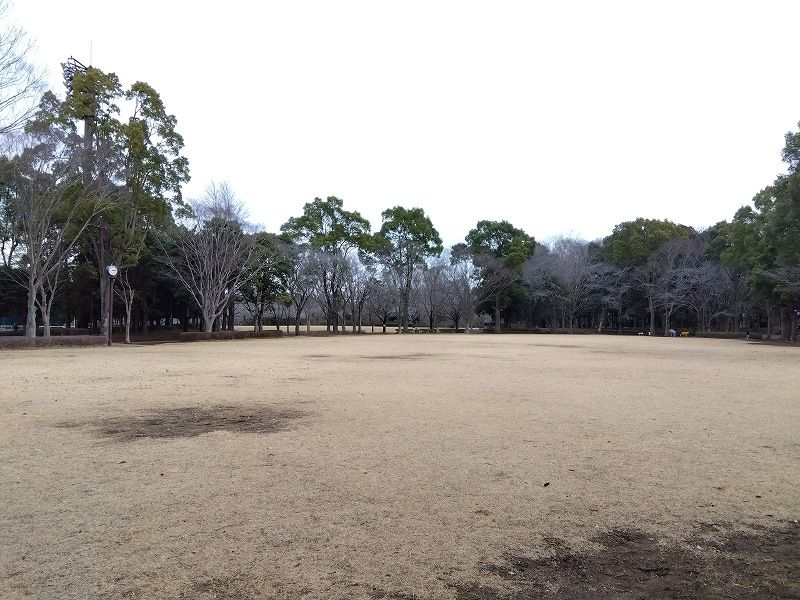 レオパレスにれの木 周辺環境