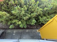 レオパレスｐｉｎｅ　ｃｒｅｓｔ バルコニー