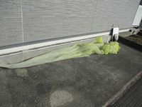 レオパレスアンテルブルグⅡ 共用部分