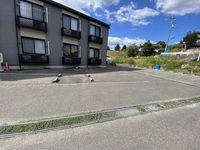 レオパレスシャルマンⅡ 駐車場