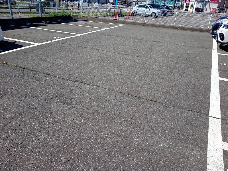 レオパレス陽陽 庭