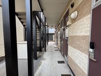 leopalace Spruce Naruo Other