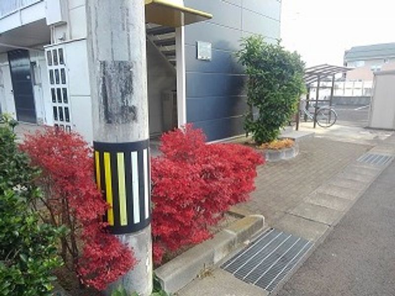 レオパレスどりーむＳ 庭
