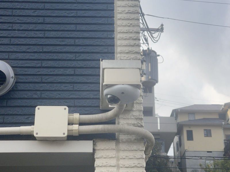 LEONEXT Lupo Shared spaces