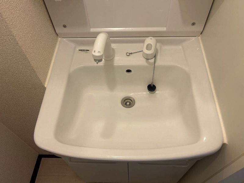LEONEXT Falcon 21 Sink