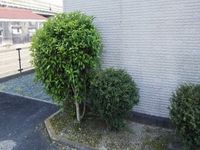 レオパレスレミュール その他
