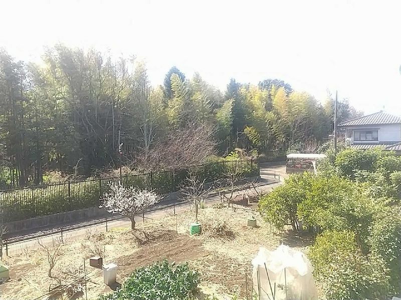 leopalace Village Tầm nhìn