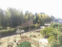 leopalace Village Tầm nhìn