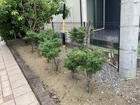 レオパレスメルベーユ 庭