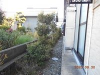 レオパレスナルシッサス　ハウス 庭