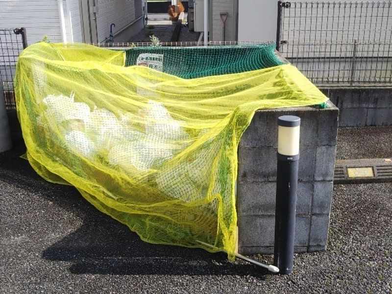 レオパレスコートアベⅤ 共用部分