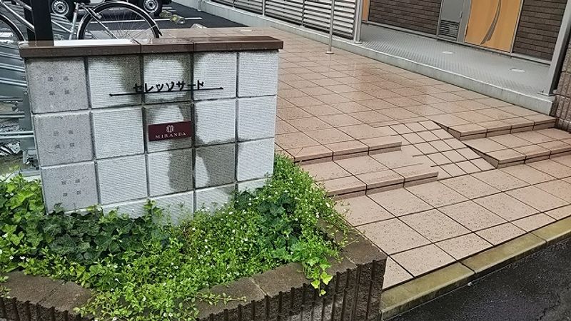 ミランダセレッソサード エントランス