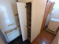 leopalace Sachi 기타