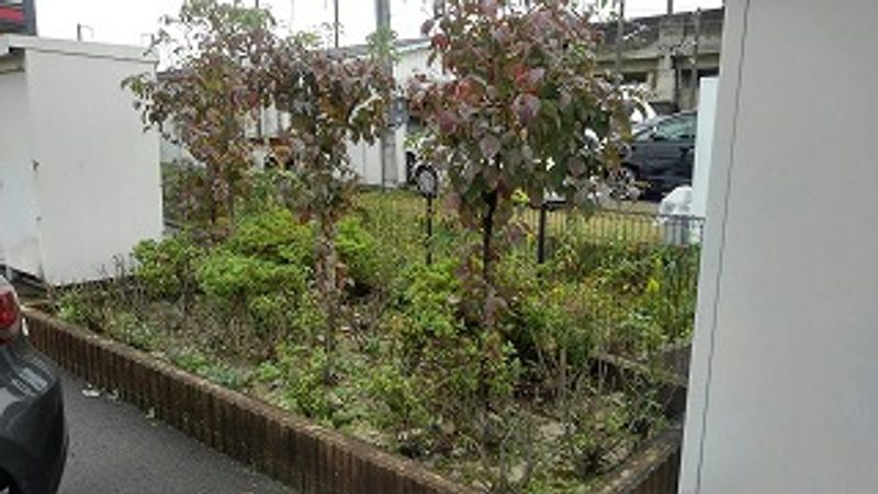 レオパレス太平寺 庭
