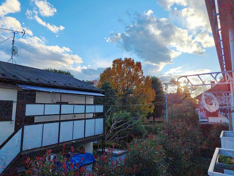 レオパレス文理台 眺望