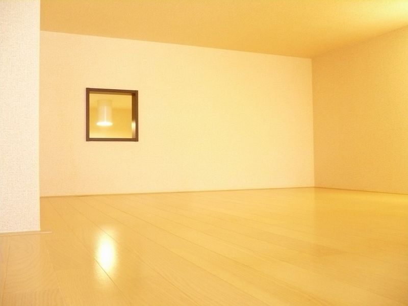 レオネクストももの木 その他
