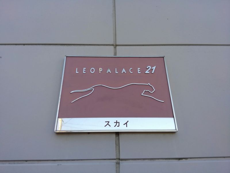 レオパレススカイ その他