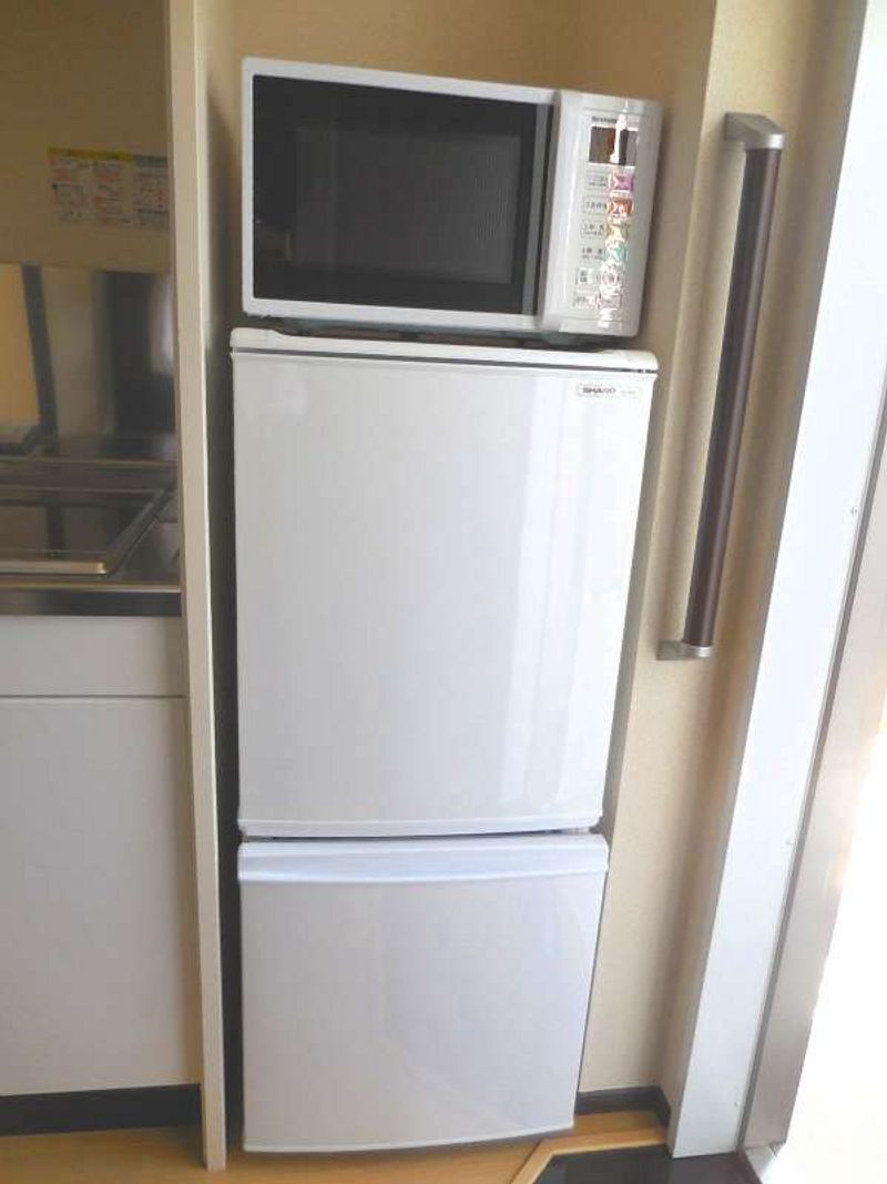 CLEINO Gracia 기타