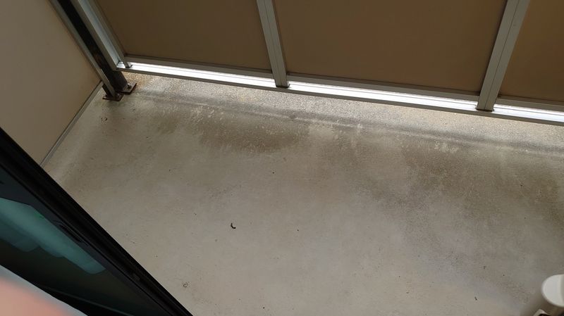 レオネクスト東津田Ⅱ バルコニー