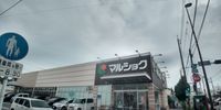 レオネクスト新生Ⅱ 周辺環境