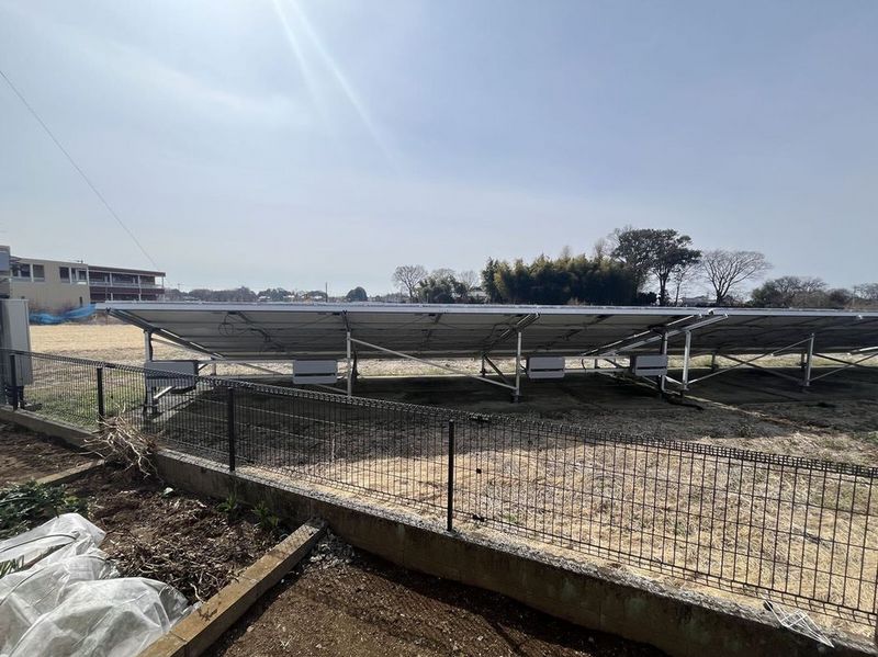 leopalace Flora K 视野