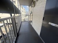 leopalace Behind Tronchino 기타