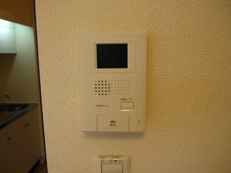 レオネクスト椎の実０ その他