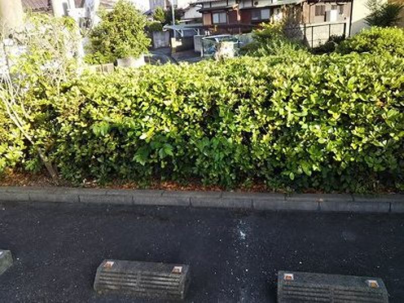レオパレスＭＫ−Ⅱ その他