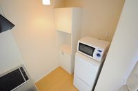 レオネクストグリーンヒル キッチン